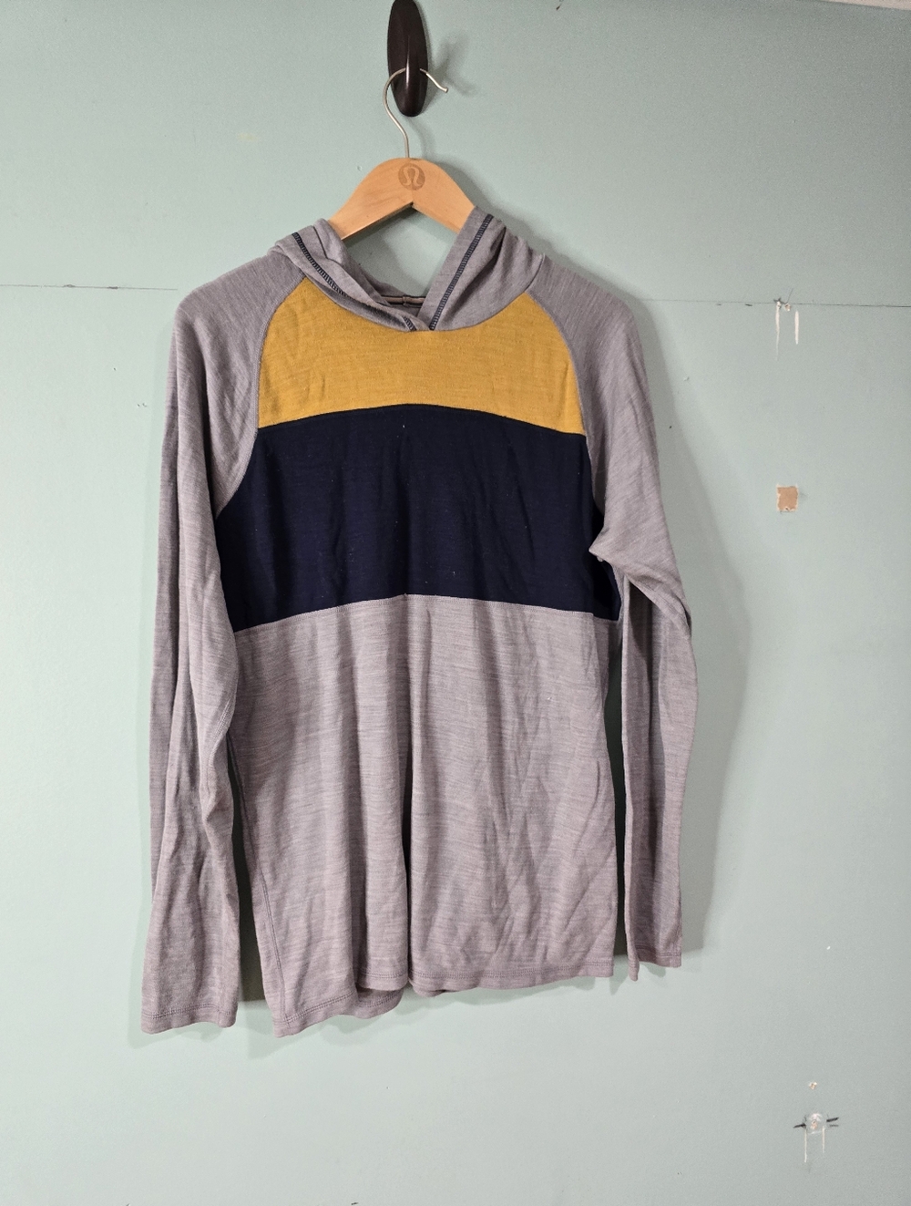 Smartwool Men’s NTS Mid 250 Color Block Hoodie M Flawed Baselayer Gorpcore